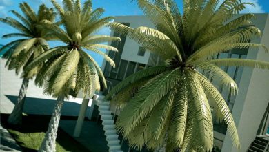 آرچ مدل Archmodels vol.42 : مدل سه بعدی درخت