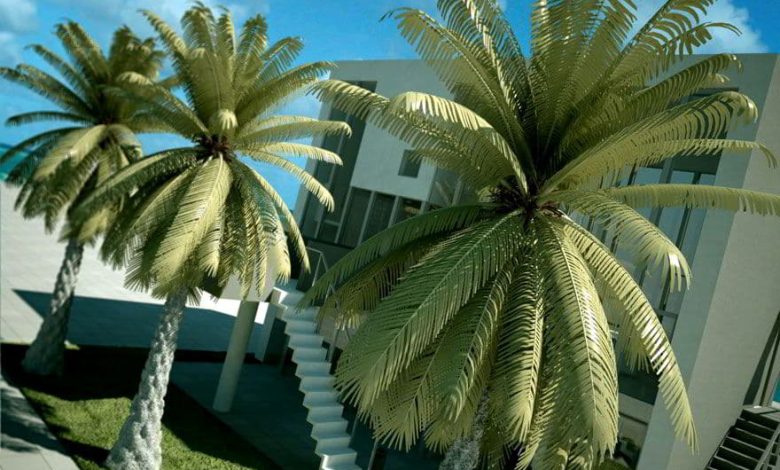 آرچ مدل Archmodels vol.42 : مدل سه بعدی درخت