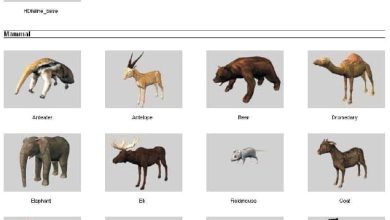 دانلود رایگان مدل سه بعدی جانوران باغ وحش Dosch 3D: Animals