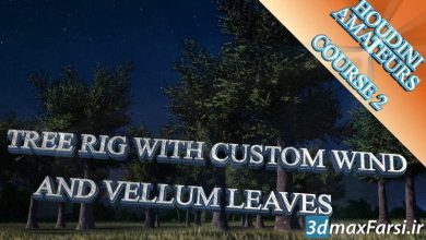 دانلود آموزش CGCircuit – Houdini Tree Rig With Vellum Leaves