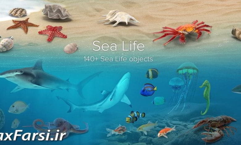 دانلود PixelSquid – Sea Life Collection