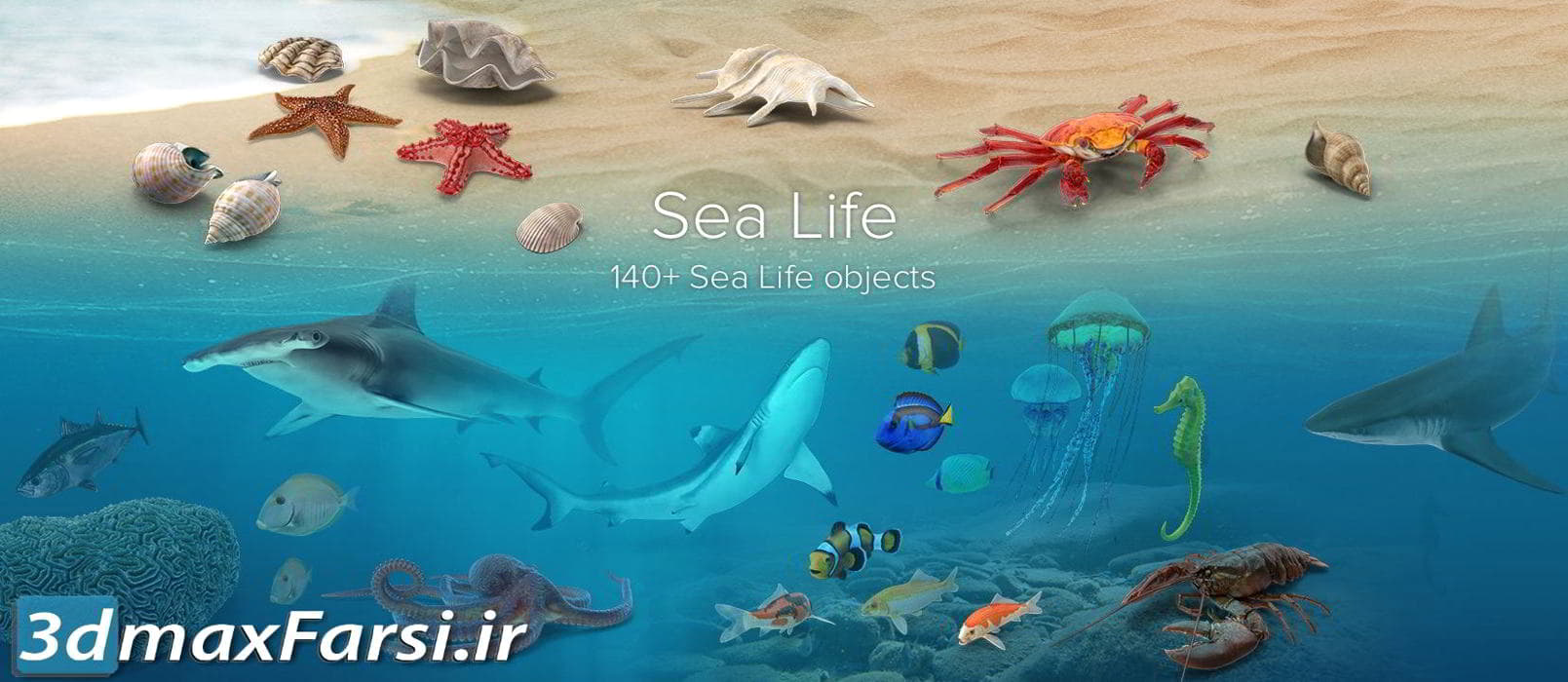 عکس گرافیکی دریا ساحل PixelSquid – Sea Life Collection
