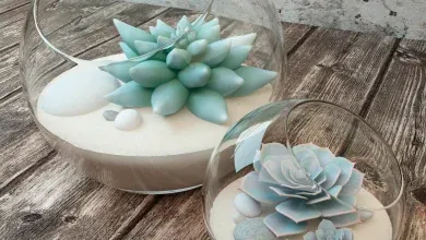 مدل سه بعدی گلدان شیشه ای 2 species of succulents in glass vases