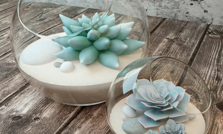 مدل سه بعدی گلدان شیشه ای 2 species of succulents in glass vases