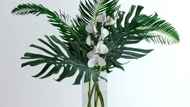 دانلود 3dsky – Exotic bouquet