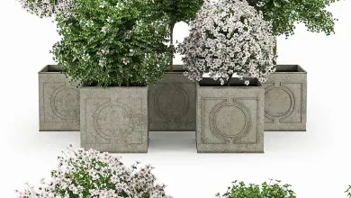 دانلود 3dsky – Hibiscus White