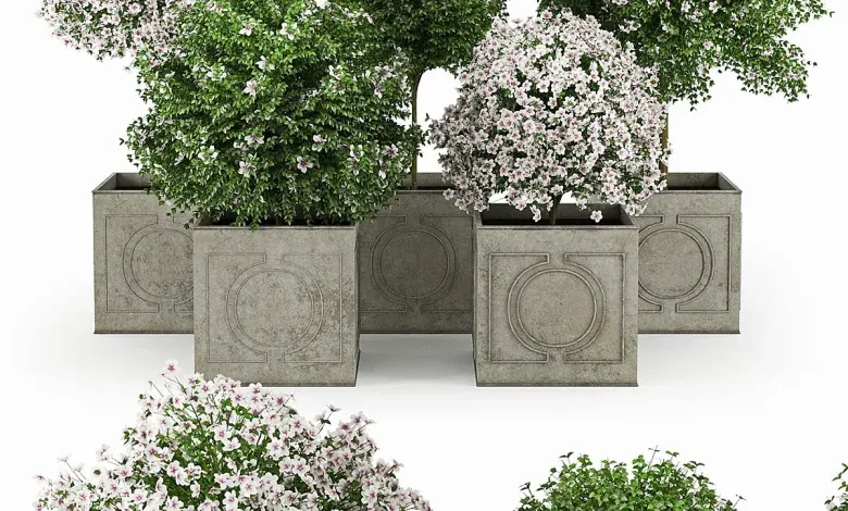 دانلود 3dsky – Hibiscus White