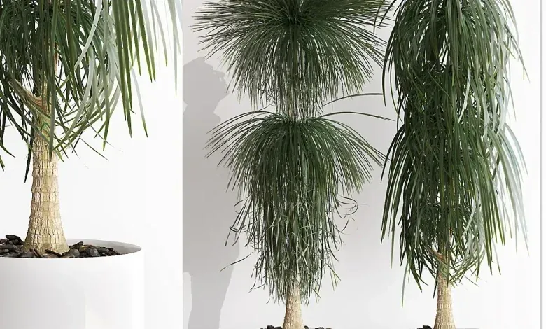 دانلود 3dsky – PLANTS 212