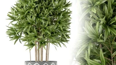 دانلود 3dsky – Plants collection 224