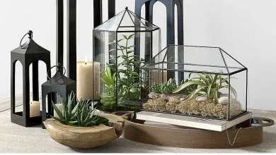 دانلود 3dsky – Pottery barn GLASS TERRARIUM