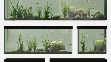 دانلود مدل سه بعدی آکواریوم ماهی تری دی مکس Aquarium set