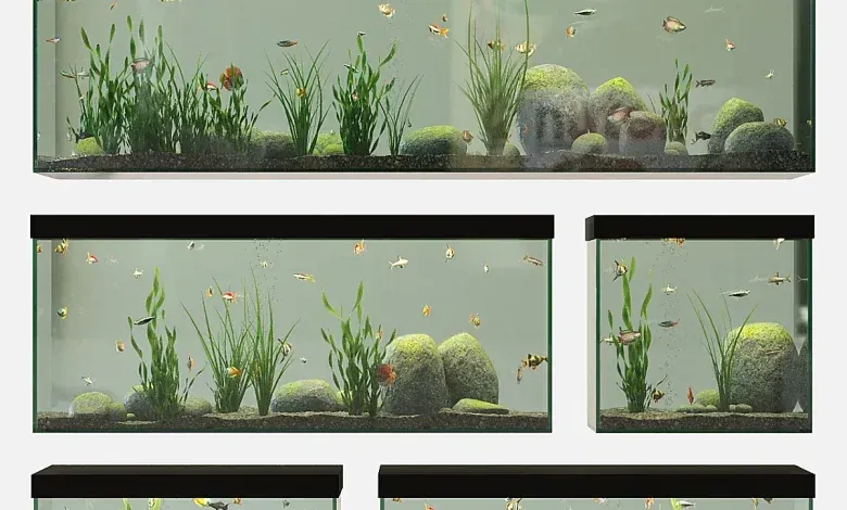 دانلود مدل سه بعدی آکواریوم ماهی تری دی مکس Aquarium set