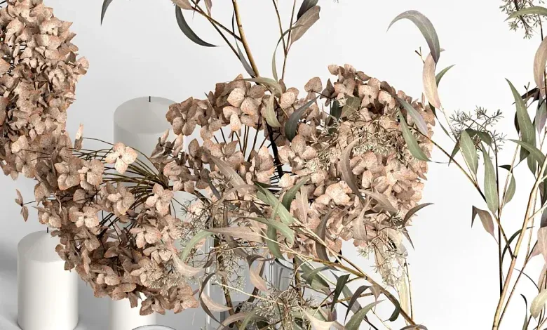 دانلود 3dsky - Table setting with dry plants