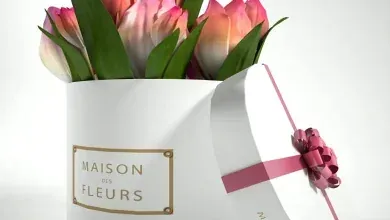 دانلود 3dsky – Tulips in a gift box