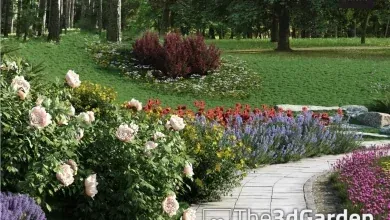 دانلود THE3DGARDEN – Bushes and flowers Collection