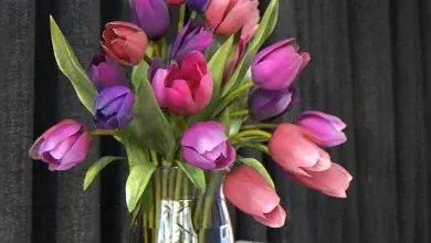 دانلود turbosquid Flowers in vase