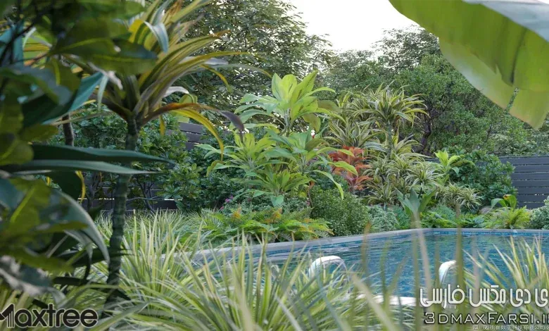 آبجکت گیاه آویز تری دی مکس Maxtree – Plant Models Vol 10
