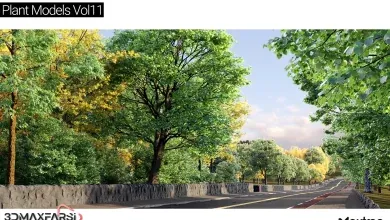 آبجکت درخت تری دی مکس Maxtree – Plant Models Vol 11