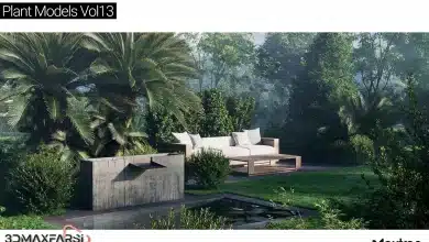 آبجکت درخت تری دی مکس Maxtree – Plant Models Vol 13