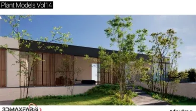 آبجکت درخت تری دی مکس Maxtree – Plant Models Vol 14