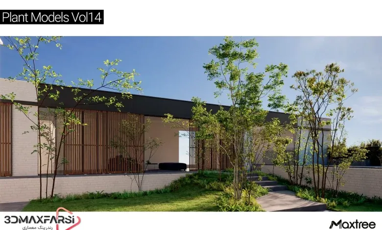 آبجکت درخت تری دی مکس Maxtree – Plant Models Vol 14