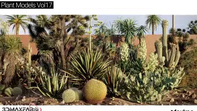 آبجکت درخت تری دی مکس Maxtree – Plant Models Vol 17