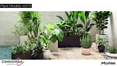 آبجکت درخت تری دی مکس Maxtree – Plant Models Vol 19