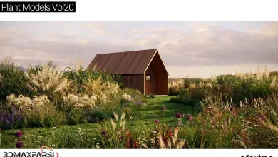 آبجکت درخت تری دی مکس Maxtree – Plant Models Vol 20