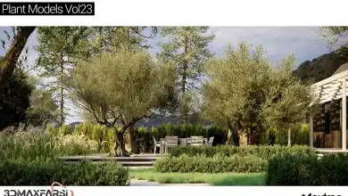 آبجکت درخت تری دی مکس Maxtree – Plant Models Vol 23