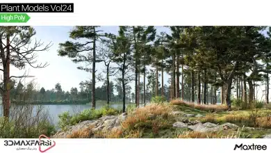 آبجکت درخت تری دی مکس Maxtree – Plant Models Vol 24