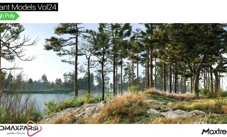 آبجکت درخت تری دی مکس Maxtree – Plant Models Vol 24