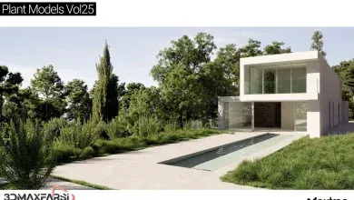 آبجکت درخت تری دی مکس Maxtree – Plant Models Vol 25