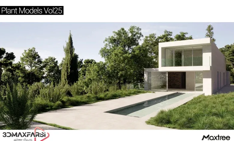 آبجکت درخت تری دی مکس Maxtree – Plant Models Vol 25