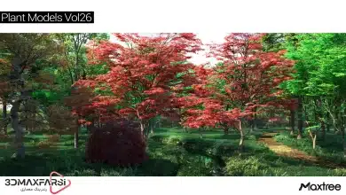 آبجکت درخت تری دی مکس Maxtree – Plant Models Vol 26