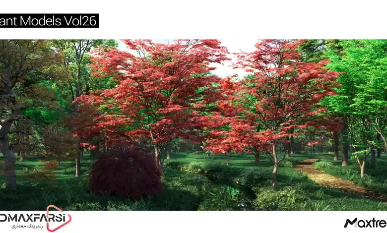 آبجکت درخت تری دی مکس Maxtree – Plant Models Vol 26