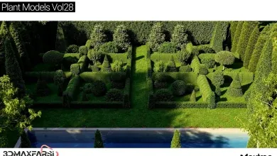 آبجکت درخت تری دی مکس Maxtree – Plant Models Vol 28