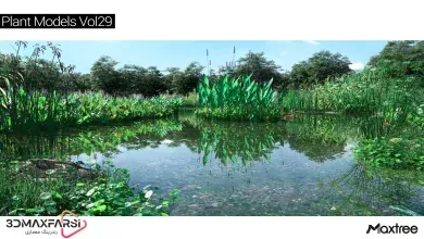 آبجکت درخت تری دی مکس Maxtree – Plant Models Vol 29