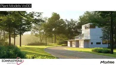 آبجکت درخت تری دی مکس Maxtree – Plant Models Vol 30