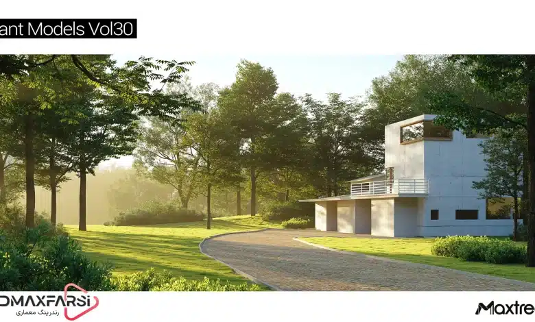 آبجکت درخت تری دی مکس Maxtree – Plant Models Vol 30