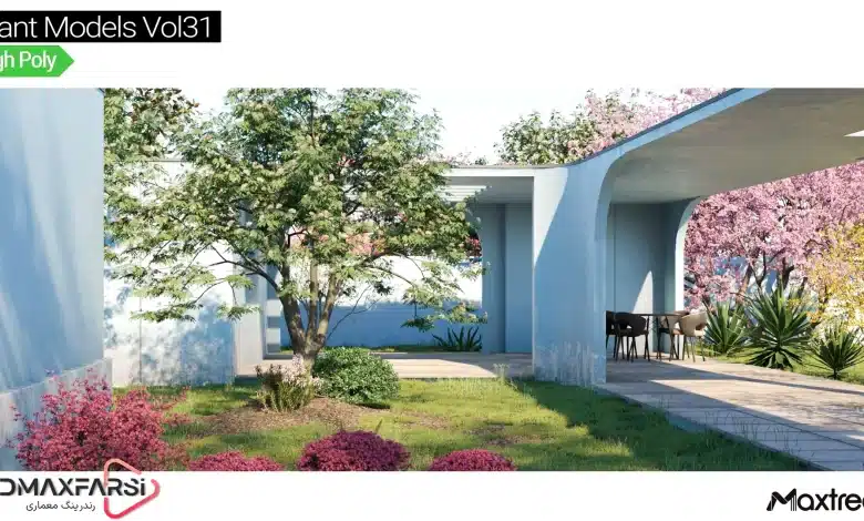 آبجکت درخت تری دی مکس Maxtree – Plant Models Vol 31