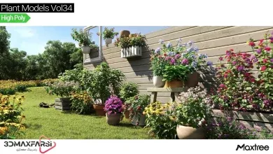 آبجکت درخت تری دی مکس Maxtree – Plant Models Vol 34