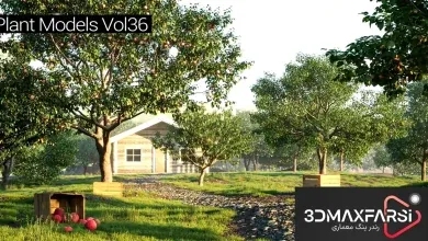 آبجکت درخت میوه تری دی مکس Maxtree – Plant Models Vol 36