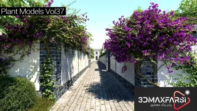 آبجکت درخت میوه تری دی مکس Maxtree – Plant Models Vol. 37