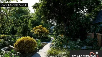 آبجکت درخت میوه تری دی مکس Maxtree – Plant Models Vol. 38
