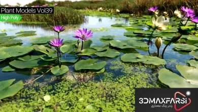 آبجکت چمن تری دی مکس Maxtree – Plant Models Vol. 39