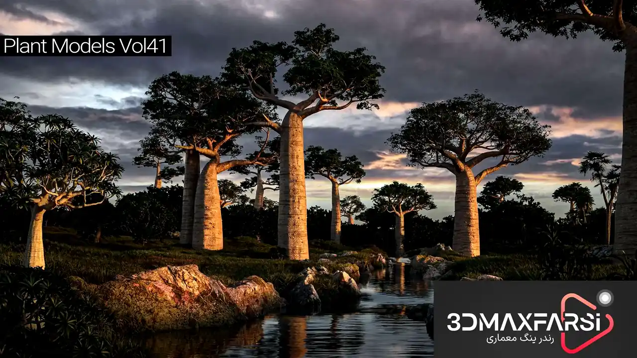 Maxtree – Plant Models Vol. 41