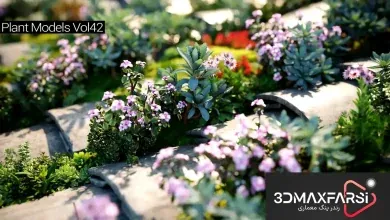Maxtree – Plant Models Vol. 42