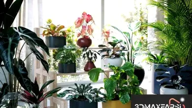 Maxtree – Plant Models Vol. 62