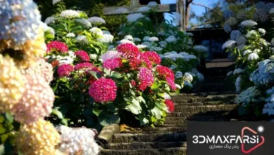 Maxtree – Plant Models Vol. 70 دانلود