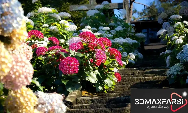 Maxtree – Plant Models Vol. 70 دانلود